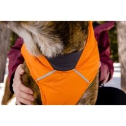 Ruffwear Quinzee™ Hundejacke Orange M -Hochwertiger Tierbedarfsladen 001bdf29a34dffebf7840b4a759030f83c299732 1370013 de DE 17dd615b14a3a705025267b6458fddf099eb308bn8H5c2