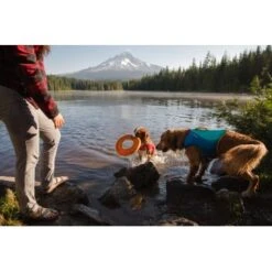 Ruffwear Hydro Plane™ Spielzeug M Orange -Hochwertiger Tierbedarfsladen 006b8682fcf44b40a786d55bd2f1d1cf7f91a7a7 1364300 de DE b9c71d828876a94633bfda1055d03e137f81043ehPprdP