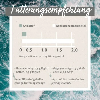 Aniforte Grünlippmuschelpulver Vollfettqualität 100 G 5 Aniforte Grünlippmuschelpulver Vollfettqualität 100 G – Bild 3