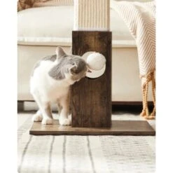 FEANDREA Katzenkratzbaum Kratzsäule 73cm -Hochwertiger Tierbedarfsladen 011120cba8789320a75b230d3b90b8814d7c764c 1483578 de DE e037a8954e76e323e540d1ec597d6182a987795ehLWNuf