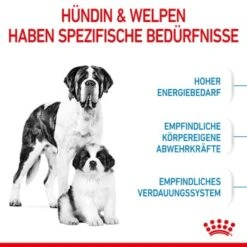 ROYAL CANIN Giant Starter 15kg -Hochwertiger Tierbedarfsladen 04dba5b27937fabea6cdab520dec33c0ee4cbbf8 3182550778831 4