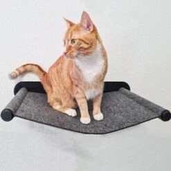 Canadian Cat Company Filz-Hängematte Für Die Wand -Hochwertiger Tierbedarfsladen 05bff4a9f82ca17aac31ad0d578a843a03e969a6 1360996 de DE 2f7dba7fff7fd30e8ac28d61faf3072ba982a2de23tQBO