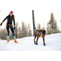 Ruffwear Cloud Chaser™ Hundejacke Schwarz XXS 22 Ruffwear Cloud Chaser™ Hundejacke Schwarz XXS -Hochwertiger Tierbedarfsladen 06cfa3a745821d84428a1de78da0089ce33c0271 1369623 de DE 87163fc3e147e303fdf97d4ab87fd720c4f34a96nSWmMF