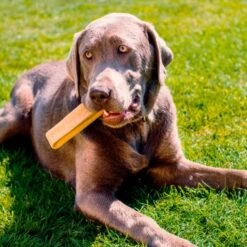 Larsson Yaky Kaukäse XL -Hochwertiger Tierbedarfsladen 06d40594a1ce5b7fb2b9172bc3bce44107037525 1327624 de DE 620ca0cdbae088fab54671a36b17dafb3fbfc6ccVv825o