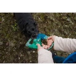 Ruffwear Pacific Ring™ Spielzeug Blau/ Türkis -Hochwertiger Tierbedarfsladen 07365c8c03348a7be23ff66a31807695c41eac94 1444351 de DE bb2133baab48cb1d262b89fa47f175638eb3f7fcb9JpcH