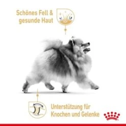 ROYAL CANIN BHN Pomeranian 1,5 Kg 23 ROYAL CANIN BHN Pomeranian 1,5 Kg -Hochwertiger Tierbedarfsladen 076a82e5533098ce72fdf62baa0bc25ecc22754f 1379878 3