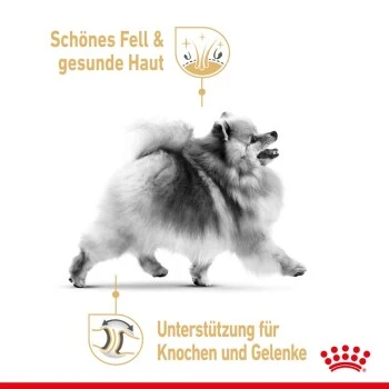 ROYAL CANIN BHN Pomeranian 1,5 Kg 5 ROYAL CANIN BHN Pomeranian 1,5 Kg – Bild 3