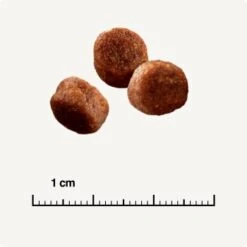 SELECT GOLD Digestion Senior Geflügel Und Reis 2,5kg 12 SELECT GOLD Digestion Senior Geflügel Und Reis 2,5kg -Hochwertiger Tierbedarfsladen 0999645de19e34aac9b2c14ea642717fe4bc62d2 1001086008 de DE 6