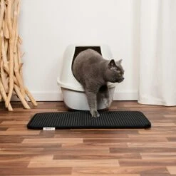 Lionto Doppellagige Katzenstreu-Matte S -Hochwertiger Tierbedarfsladen 0b83a51a46ab70dab6cb8bfef23cf235f79a3a2a 1657009 de DE e8d97cd468dc7afe84d41b3fb8166e19b7c4f55fUqD5hT