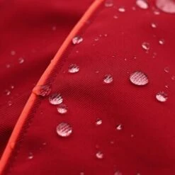 THE DOG IDEA Regenmantel Duke Rot XXXS -Hochwertiger Tierbedarfsladen 0b96c2b346599e3bfc621cd46bc5222963a975ce 1487619 de DE 15918523d26ad94991e88a54ba0dbb6c1b769d88mq6M8P