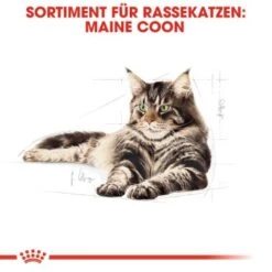 ROYAL CANIN Maine Coon Adult 10 Kg -Hochwertiger Tierbedarfsladen 0dcdda8125bffac6c60d8bc613414dd3e537f3f9 4a409b86bb290f85c8a45c0d5080bc56aabf2ae3