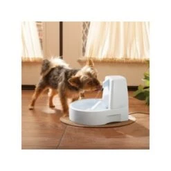PetSafe Drinkwell Trinkbrunnen Original, 1,5 Liter -Hochwertiger Tierbedarfsladen 0eafb4742dba6833f9a27c15a06f970e4cd3a735 e5e9d8abdbe4501019d4b3506e15c02aeff7b01c