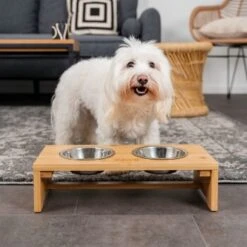 Lionto Erhöhte Futterstation Aus Bambus Braun/ Silber S -Hochwertiger Tierbedarfsladen 0ebd27e1d6daa177bb19a1676d8c3a58713dced2 1665921 de DE a28a1d03e7e6c4458670385e414dba037e0197d3muo8Wo