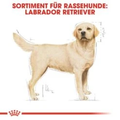 ROYAL CANIN Labrador Retriever Adult 12 Kg -Hochwertiger Tierbedarfsladen 0fd6544b3929e2d70d0fdf71aff449666b66b55e c1482dc18e750c386b499feb71ddb619e49b18c5