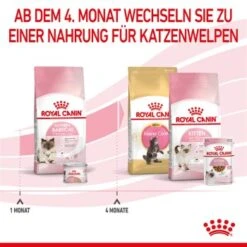 ROYAL CANIN Mother & Babycat 2 Kg -Hochwertiger Tierbedarfsladen 0fe8497acfc1380792b3bad8590087c6f2d67d34 3182550707329 6