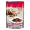 PREMIERE Deluxe Ragout Adult Reich An Rind 22x85 G 2 PREMIERE Deluxe Ragout Adult Reich An Rind 22x85 G -Hochwertiger Tierbedarfsladen 10e0ee1e76c9feb4315c648ee514d65bf8e1e11a 1100948 de DE premiere deluxe ragout adult rind main