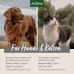 Aniforte Teufelskralle Pulver 250 G 10 Aniforte Teufelskralle Pulver 250 G -Hochwertiger Tierbedarfsladen 1129af5e6fdd7620bcbe603f840f1fa32ab4f263 1337239 de DE d209e79c0d9935be673cb478ddae6b5f270dff2bSkXDU9