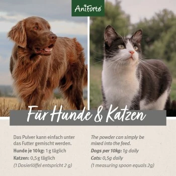 Aniforte Teufelskralle Pulver 250 G 5 Aniforte Teufelskralle Pulver 250 G – Bild 3