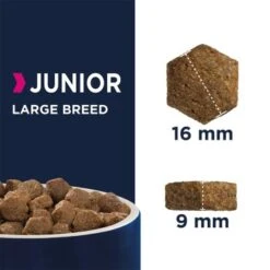 EUKANUBA Junior Large Breed Huhn 15kg 11 EUKANUBA Junior Large Breed Huhn 15kg -Hochwertiger Tierbedarfsladen 126f5d1d2500b45dc708772a5a776170c8c3b34a 54dc69962f906f8515f504f258930a70316c2d31