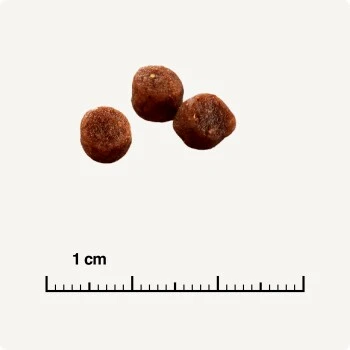 SELECT GOLD Kitten Geflügel Mit Reis 3 Kg 7 SELECT GOLD Kitten Geflügel Mit Reis 3 Kg – Bild 5