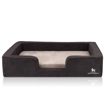 Knuffelwuff Orthopädisches Hundebett Mit Wendekissen Aus Velours Bellamy Schwarz M-L 3 Knuffelwuff Orthopädisches Hundebett Mit Wendekissen Aus Velours Bellamy Schwarz M-L