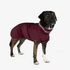 THE DOG IDEA Regenmantel Kayden Bordeaux XXXS -Hochwertiger Tierbedarfsladen 15199a1306a3ace800e507518b9566b7fa68dccf 1681344 de DE 94a97a0c60e07ef5f6aadab2583dc6e8415511e0pXx3H5