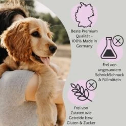 FAVLY Petfood FAVLY Probierpaket "Starter" 13 FAVLY Petfood FAVLY Probierpaket "Starter" -Hochwertiger Tierbedarfsladen 157f4277f4fc2e8da8d7a229372118c7271db7ef 1475313 de DE 1599c09ca60134efdb65d5d73f221243ffcd3c9a0x3zzL