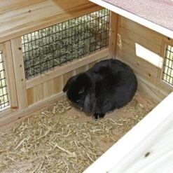 Kerbl Kleintierstall Tyrol Alpin -Hochwertiger Tierbedarfsladen 171790ce081654b413a6450e70de4fcec8313490 9773502bb466235b647cc09752f73d4384b4818f