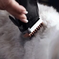 Moser Schermaschine REX -Hochwertiger Tierbedarfsladen 1772a67d22493cedccf903dd1e91d7ff370d86f7 29185d9f269d8954e1525c804aae277033703d78