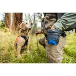 Ruffwear Treat Trader™ Leckerlitasche -Hochwertiger Tierbedarfsladen 186b7e425f598b12366c10ec7fcc813818c82e5a 1651410 de DE 3d11f6b873a5b5ccf59e40f905046c9bc48f73e4NRSYSc