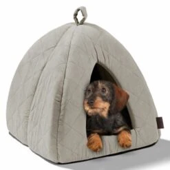 MORE Höhle Diamond -Hochwertiger Tierbedarfsladen 1901edb64570eb8cb38c0e72458280ff138dcb40 856e9f8ef094dc77c4e2ce9e6d85768bffa721c6