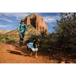 Ruffwear Swamp Cooler™ Kühlweste Für Hunde Grün S -Hochwertiger Tierbedarfsladen 1b9d993514e0988806b41c08c21933ee919b490d 1639549 de DE 93109366ec424094c68188acfae1c741bc8c4ccc0UWVXo