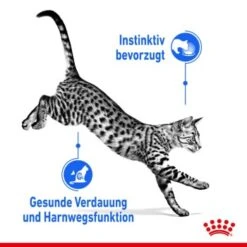 ROYAL CANIN Indoor Sterilised 12x85g In Gelee 11 ROYAL CANIN Indoor Sterilised 12x85g In Gelee -Hochwertiger Tierbedarfsladen 1bf9d609b9998b0ce738f1e4af7089787567ddbd bded06d91e43adbf2bf2d0ffe19d0e7dcc79167a