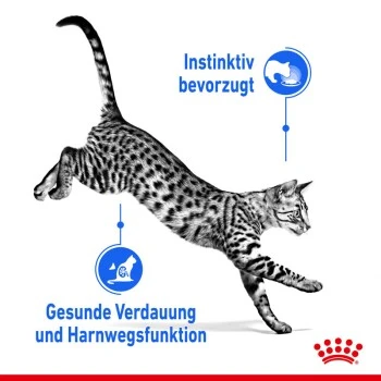 ROYAL CANIN Indoor Sterilised 12x85g In Gelee 7 ROYAL CANIN Indoor Sterilised 12x85g In Gelee – Bild 5