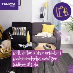 Feliway Help! 7 Tage Start-Set Zur Vorbeugung Von Stress -Hochwertiger Tierbedarfsladen 1d89a27b4c8b60e0ea97877af16b355ca17c594e 1380136 7