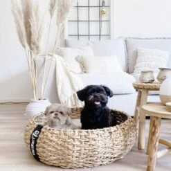 District 70 COCOON Natural M -Hochwertiger Tierbedarfsladen 1db584284c497361442002ba80ca8dd9597a35b9 1ad367312153dfaf420d5600b6e8e9dac5cec798