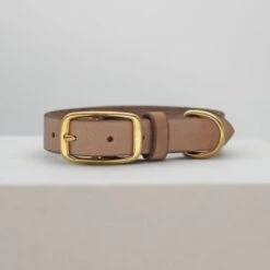 THE DOG IDEA Leder Halsband Beige XL 7 THE DOG IDEA Leder Halsband Beige XL -Hochwertiger Tierbedarfsladen 1ec48d2972c0e1dfe6ea7297404e371c480b6f93 1674216 de DE e62f018514b26e403cf6836ac6a855f79abfd60fyH1vTH