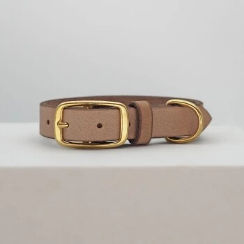 THE DOG IDEA Leder Halsband Beige XL 5 THE DOG IDEA Leder Halsband Beige XL – Bild 3