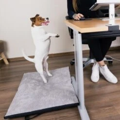 Freudentier Faltbare Hundematte Für Unterwegs S-M -Hochwertiger Tierbedarfsladen 2028d765e8e36bbac743fe9fa472973621598490 1445215 de DE 88a2b27d760da648b7a5995f69e3cd880b3018er