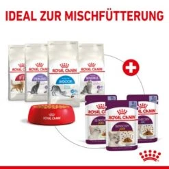 ROYAL CANIN SENSORY Smell In Gelee Für Wählerische Katzen 12x85g -Hochwertiger Tierbedarfsladen 25c7f2b0017090b05172a164b94d24299f626039 5b9b3776479c43ed4449b8634046c65b7d96c1fe