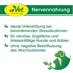 CdVet Nervennahrung 40 G 8 CdVet Nervennahrung 40 G -Hochwertiger Tierbedarfsladen 27c422a62529ec73a6a1a64b256356ce07f3ed4d 1411661 de DE aad863975318ab450a74be43b9ae7102664c040fbSmJua