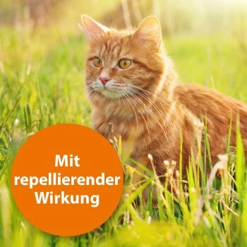 Ardap Spot-On Für Katzen S 5 Ardap Spot-On Für Katzen S – Bild 3