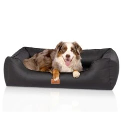 Knuffelwuff Orthopädisches Hundebett Montana Aus Kunstleder Schwarz M-L -Hochwertiger Tierbedarfsladen 28bd0f32b8e066fb3bb020d5ad220a1937d75ced 1412170 de DE 7311c0c4c8e49d71195954eef00a36c1518080fd4vE1hu