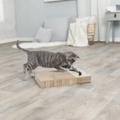 Trixie Kratzpappe Mit Spielzeug -Hochwertiger Tierbedarfsladen 2922fdbeca6faf723a69257e5e81b0da65bcea01 149772bd00e8a047fa4bf8b07169295e296775d1