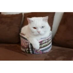 Canadian Cat Company Katzenschiff LUNA -Hochwertiger Tierbedarfsladen 2a794931f9263820d298c92486fc08c7b5fe3a35 1412669 de DE 46780a4b5da8fe052e5be00462eb02991658c41f2ZgeMs