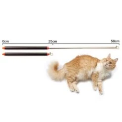 Schlitzohr Stabile Katzenangel Arnold 12 Schlitzohr Stabile Katzenangel Arnold -Hochwertiger Tierbedarfsladen 2b03aaa8061d454c3b132f3d29075b579f022315 1484671 de DE 4db6a969e0582cf4b987acff93cb66c6c6149da6OAB1hx