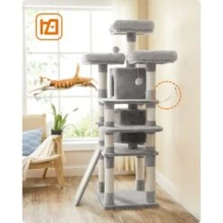 FEANDREA Katzenbaum 172cm Hellgrau Hellgrau -Hochwertiger Tierbedarfsladen 2beb608b0c25f31a5b591bd7b697fde4b8299f66 1483575 de DE 0ad423e802c0fbbefde959609f78ace2ca898ed9EZB5uL