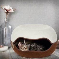 Canadian Cat Company Filz Katzennest 2.0 Weiß -Hochwertiger Tierbedarfsladen 2d709df44822ed1c554e77257ea4f2826b7f6ee6 1412670 de DE f4bc2f42c404e1ae32cb86346c8e995f0178b889j3OAow