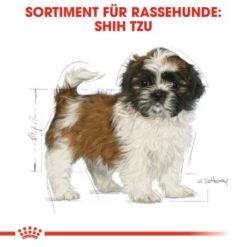ROYAL CANIN Shih Tzu Puppy 1,5kg 14 ROYAL CANIN Shih Tzu Puppy 1,5kg -Hochwertiger Tierbedarfsladen 2dd674b0c9faf144189925427954057c94e96824 cfea993775d63322f217c5a694273fde764bdafe