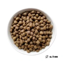 Eat Small EatSmall 3x2kg Trockenfutter Balance Mini -Hochwertiger Tierbedarfsladen 2eb788cb18e36012b786ebcd36986af0d7384a67 1480035 de DE ef1a1257b12edf1ce0a516e027bab83024c70dae3oyC8T